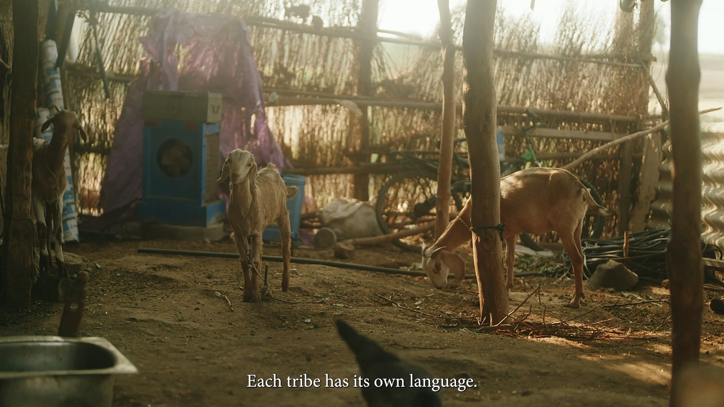 Film still 2 from Multiply, Seven Mile Road Houston